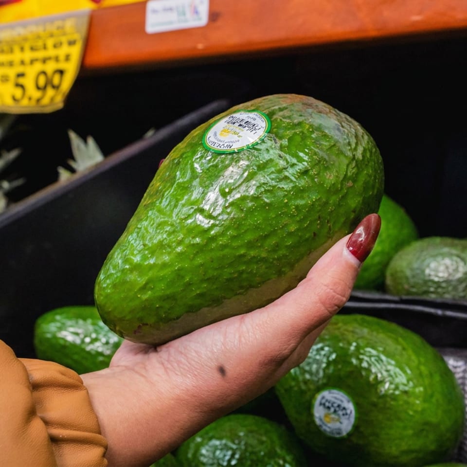 Hand holds a large green avocado over a grocery store produce bin filled with avocados and pineapples.
